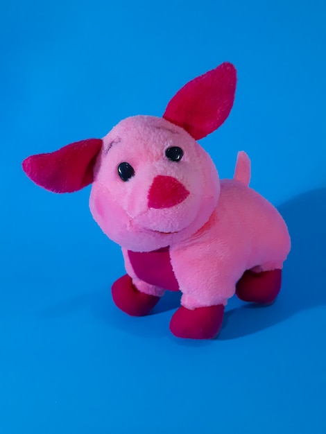 Cute Little Piggy Isolated on Blue Background