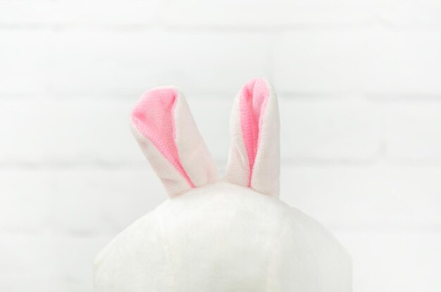 Photo cute little rabbit ears close up head of hare peeks out in foreground minimalistic template