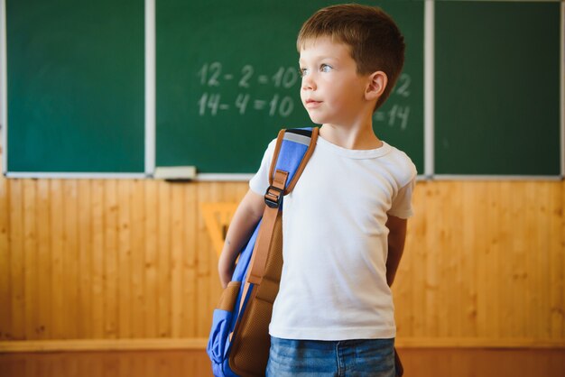 Cute little schoolboy sitting in the classroom