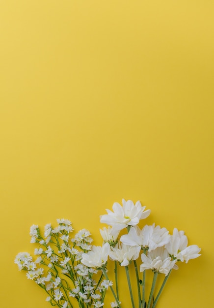 空白の黄色の背景にかわいい小さな白いカッターの花とデイジーの花