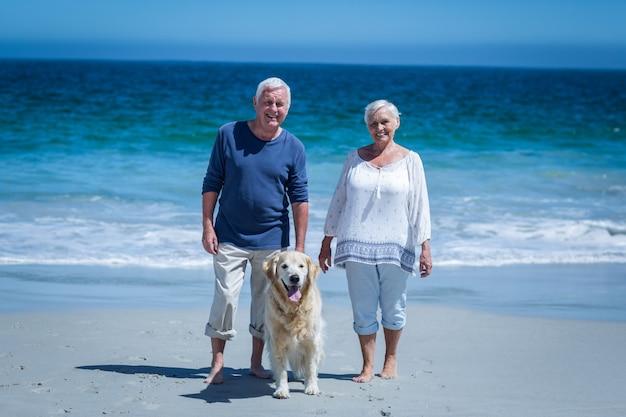 Cute mature couple holding hands walking the dog