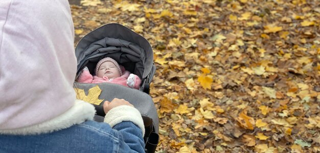 Cute newborn baby girl sleeping in a stroller in autumn park