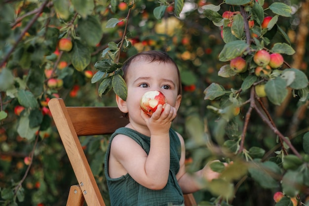 Cute oneyearold child with pleasure eats an apple in an apple garden The child has a great appetite