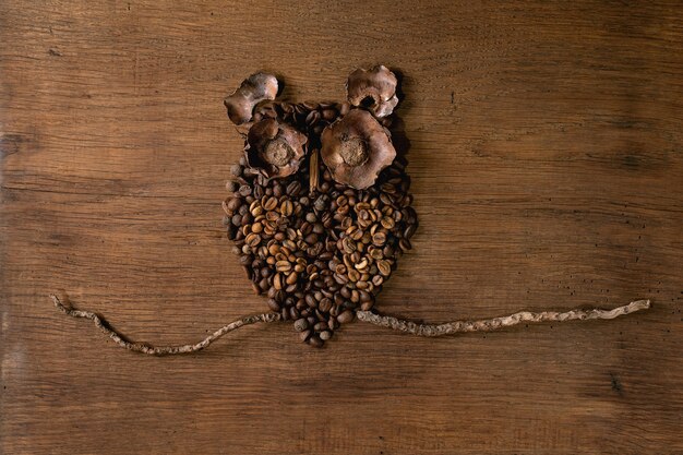 Cute owl shape from coffee beans and spices. Owl sitting on the branch over wooden background. Funny mystery coffee concept