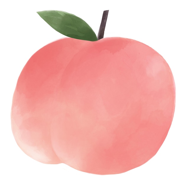 Cute peach png sticker watercolor design in transparent background