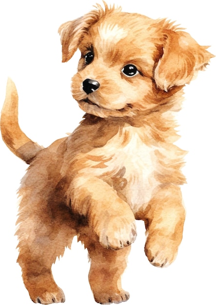 Cute playful puppy watercolor isolated on white