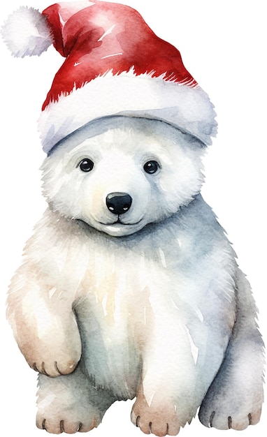 Cute polar bear in santa hat watercolor isolated on white