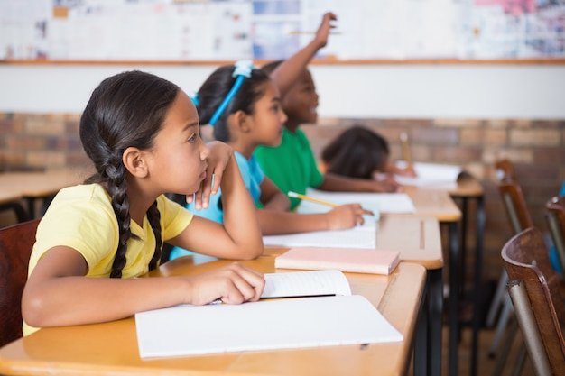 Cute pupil raising hand in classroom