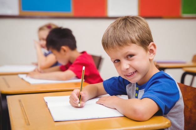 Cute pupil smiling at camera in classroom