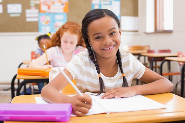 Cute pupils writing at desk in classroom 