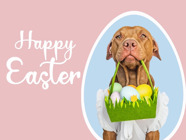 Cute puppy and a basket of Easter eggs