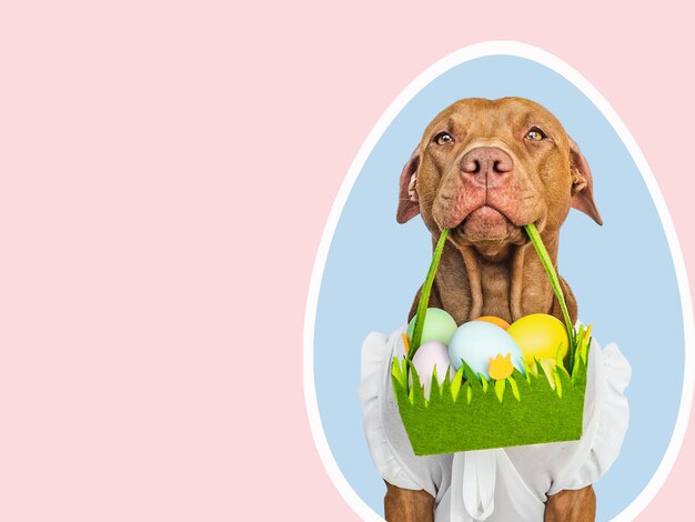 Cute puppy and a basket of Easter eggs