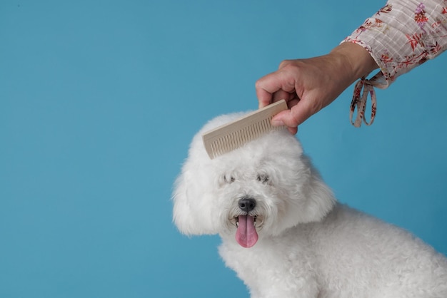 Photo cute puppy being combed in the grooming salon pet care concept