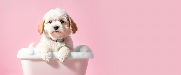 Photo cute puppy in foam bath banner generative ai