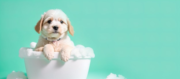 Cute puppy in foam bath banner Generative AI