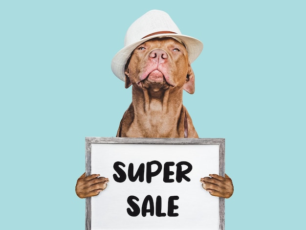 Cute puppy and sign with inscription about sale