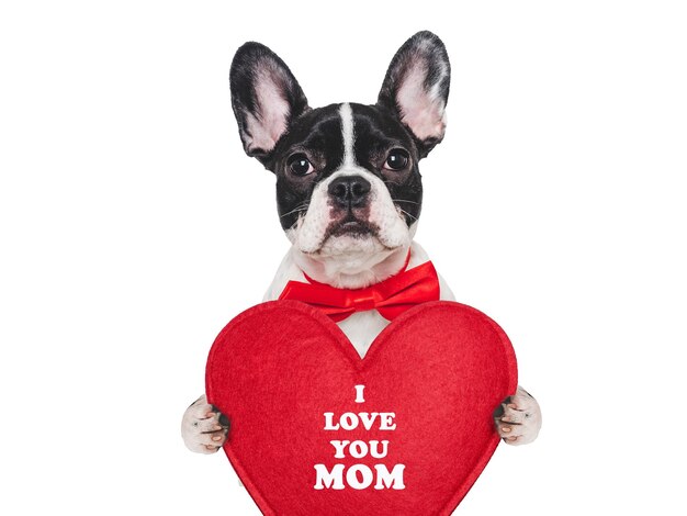 Cute puppy and a sign with words of love for Mom