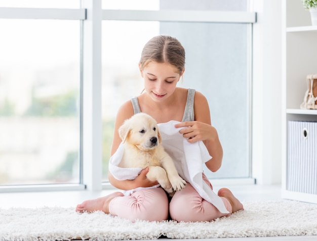 タオルで拭くかわいい子犬