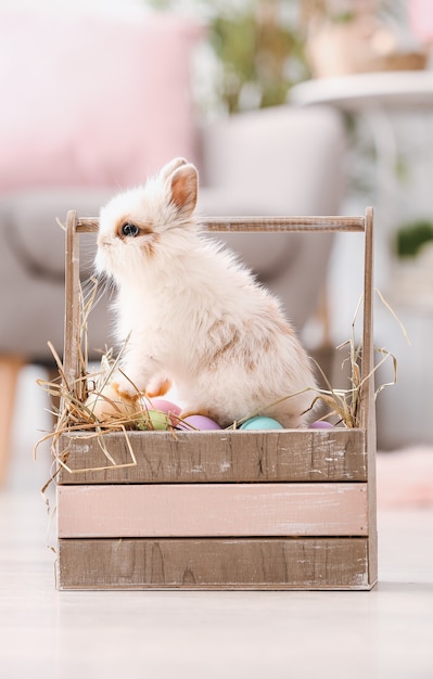 Cute rabbit in basket with Easter eggs on floor in room