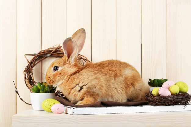 Cute red rabbit with Easter eggs on shelf on wooden wall background