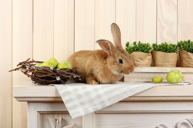 Cute red rabbit with Easter eggs on shelf on wooden wall background