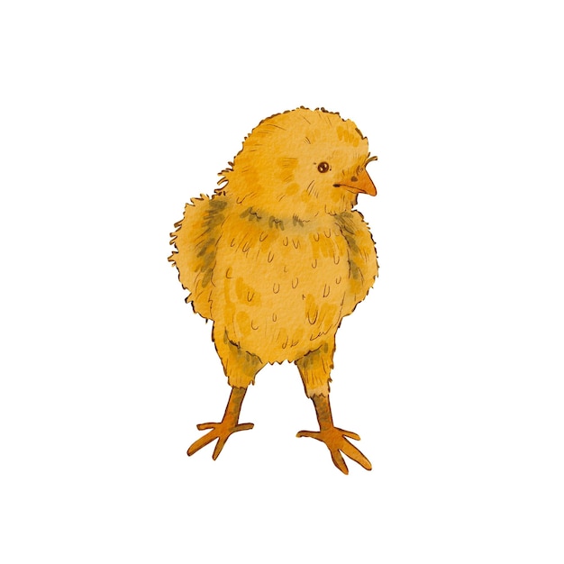 Милый круглый цыпленок на белом фоне Акварельная иллюстрация желтого новорожденного цыпленка Пасхальный мотив Пушистый цыпленок Подходит для открыток пакеты текстиля меню товары эко