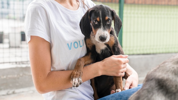 Photo cute but sad rescue dog waiting to be adopted by someone