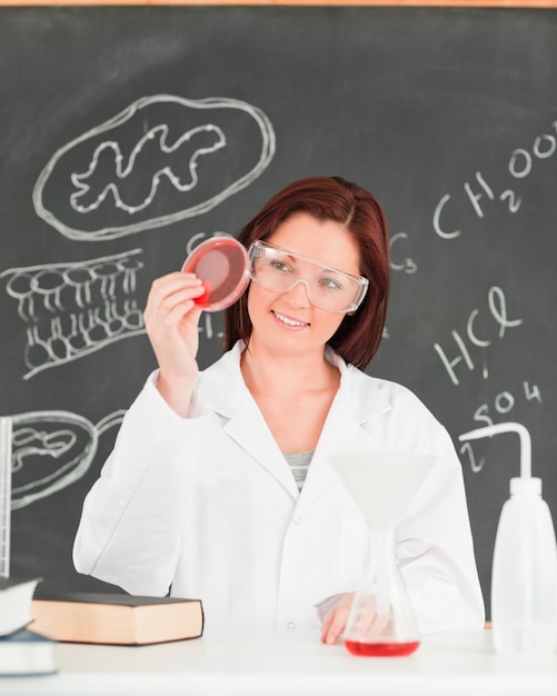 Cute scientist looking at a petri dish