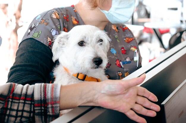 cute sick dog waiting for the vet