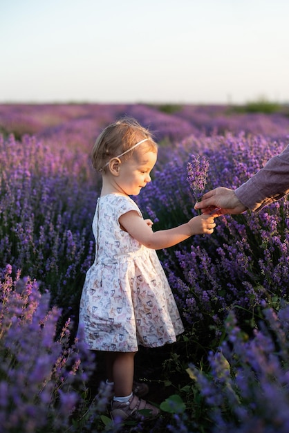 彼女のお父さんの手からラベンダーの花束を取っているブロンドの巻き毛のかわいい笑顔の女の赤ちゃん