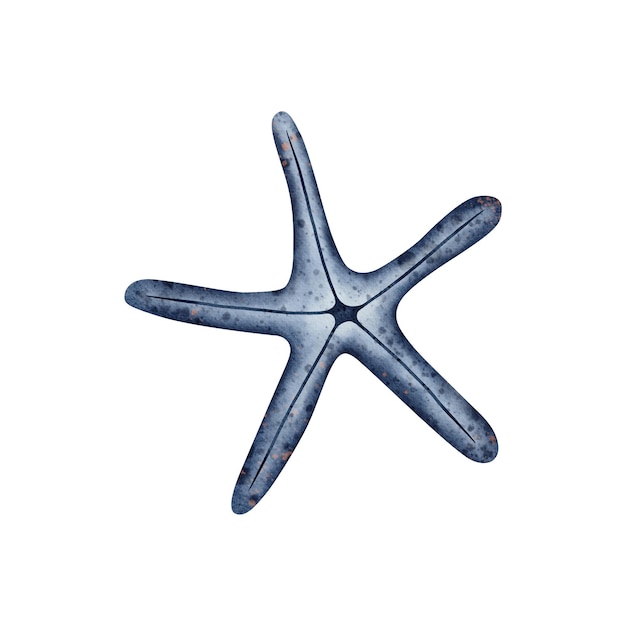 Cute starfish in blue color on isolated background underwater animal hand drawn watercolor illustrat