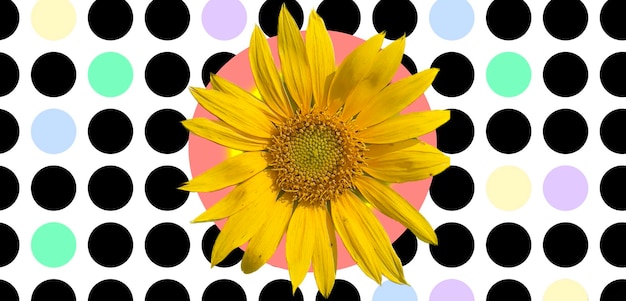 Cute sunflower and dots art background