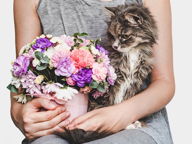 사진 귀엽고 달콤한 새끼 고양이, 밝은 꽃다발과 여자