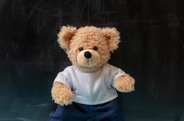 Cute teddy bear school black chalkboard background