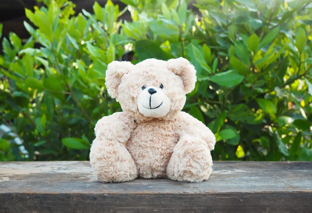 Cute teddy beer zit alleen op houten tafel