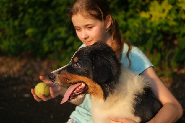 かわいい10代の少女は、ボールを持って夏にオーストラリアンシェパードの3色の子犬の犬と遊ぶ。トレーニング。一緒に過ごす時間をお楽しみください。ペットケアのコンセプト。人間と動物の間の愛と友情。