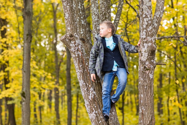 Cute teenager boy sitting on a branch of tree in autumn park.