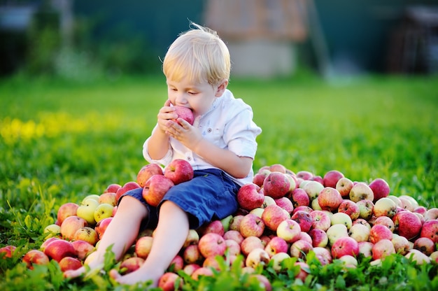 Photo cute toddler boy sitting on heap of apples and eating ripe apple in domestic garden