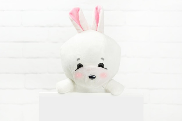 Cute toy white bunny is holding an empty blank on light background Space for text