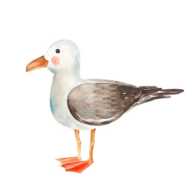 Cute watercolor seagull isolated on white background hand drawn illustration