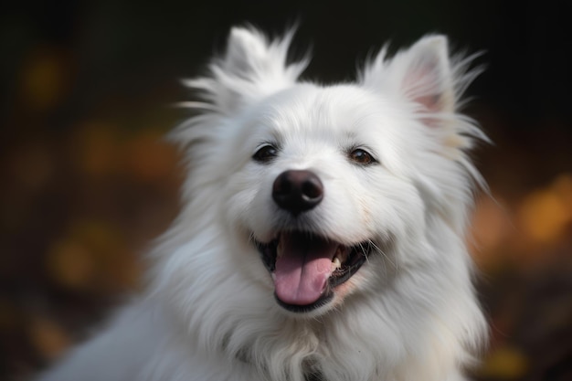 秋の公園のかわいい白い犬 AI 生成のクローズアップ