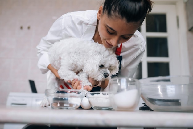 Cute white Maltese sniffing meal in the kitchen