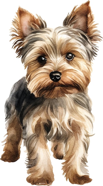 Photo cute yorkshire terrier dog standing whole body back view watercolour isolated on white