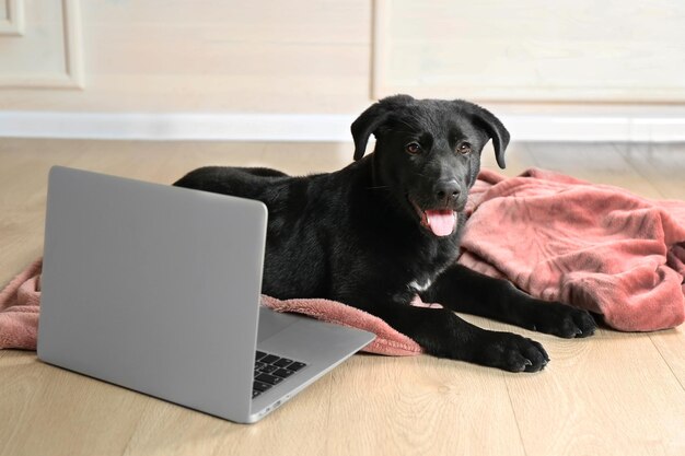 Cute young black Labrador lying near notebook on rosy blanket