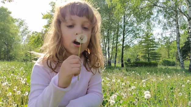 cute young girl draws air into her chest and blows off white fluffy dandelion seeds a child with blond hair is dressed in a pink blouse wildflowers in the meadow games in the summer forest