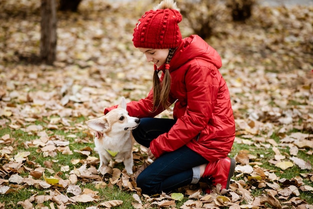 かわいい若い女の子が黄色の葉で犬を撫でる秋の雰囲気コーギー
