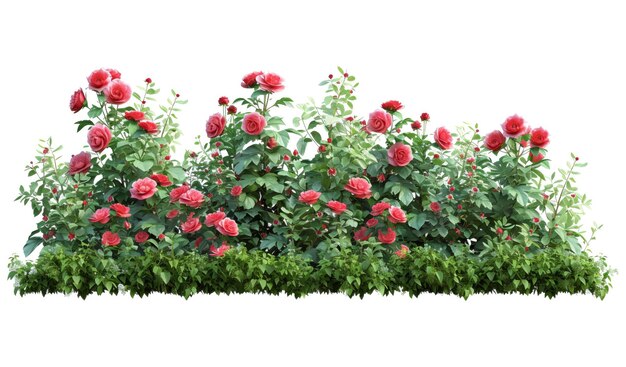 Cutout flowerbed Plants and red flowers