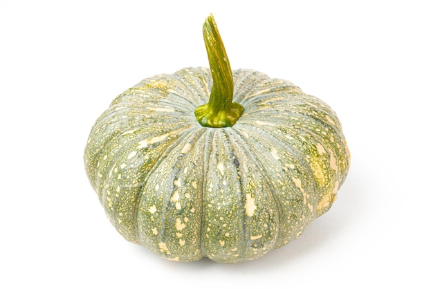 Cutout Green Asian Pumpkin on White Background