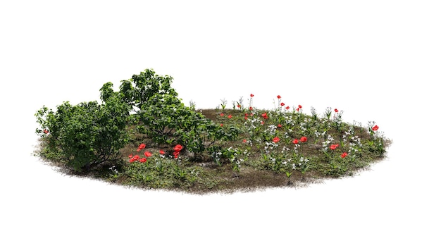 Cutout trees and flowers Garden design isolated on white background Decorative shrub for landscaping High quality clipping mask for professional composition