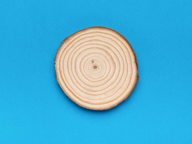 Cutting board in the form of a cut of a tree on a blue background Flat lay